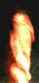 Side view: This is the right side of the alien's body. 