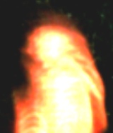 Head: This is a closeup of the alien's head. Note misty energy field. 