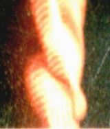 Backside: Note prangish glow on alien's back side.