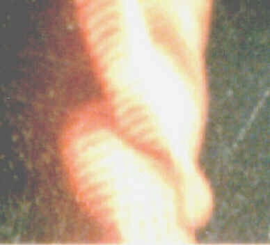 Note glowing energy field on posterior.