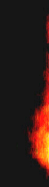 Mystery Light: What is the mystery light on far right side of photo? Plasma? UFO? Another alien's posterior?