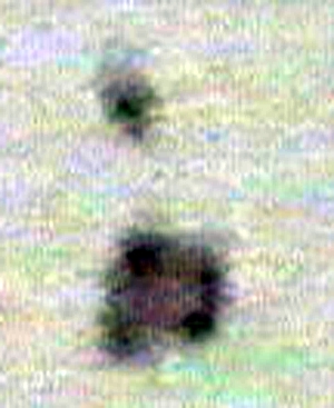 sept12Bclose.jpg (74704 bytes)
