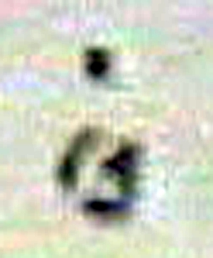 sept12Cclose.jpg (54450 bytes)